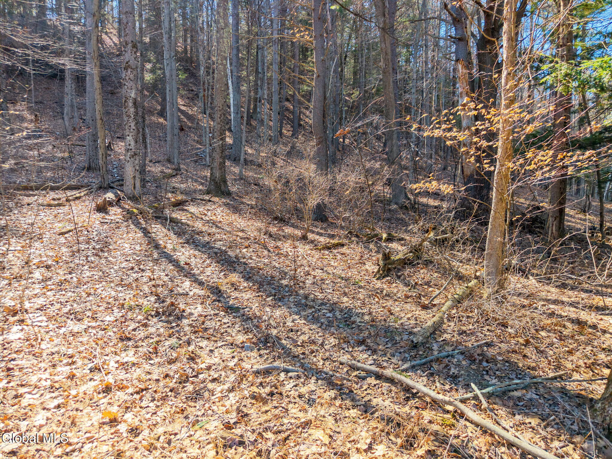 580 Ecker Hollow Road Schoharie, NY 12157 - Photo 69 of 81 69-580EckerHollowRd_69