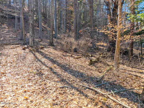 $850,000 | 580 Ecker Hollow Road, Schoharie, NY 12157