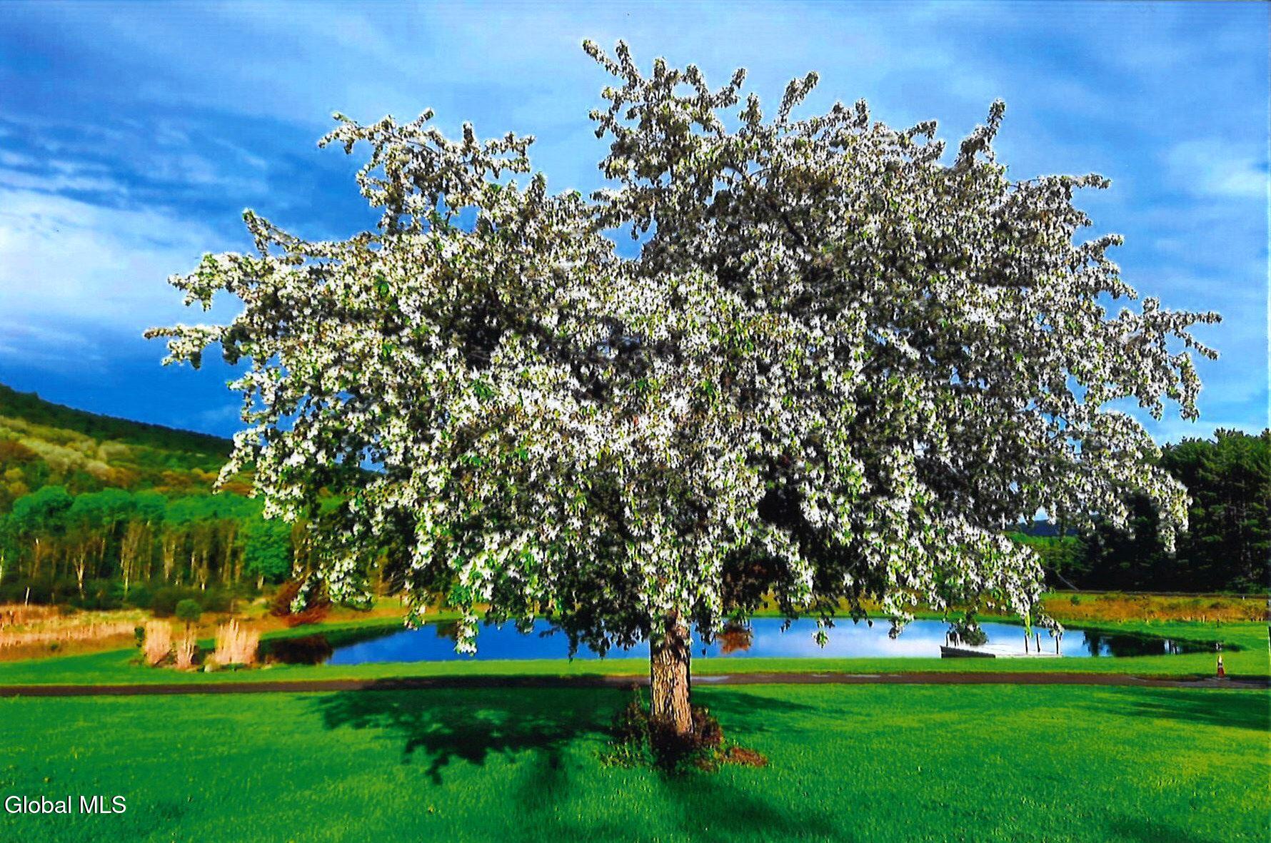 580 Ecker Hollow Road Schoharie, NY 12157 - Photo 10 of 86 20260326125929_00001