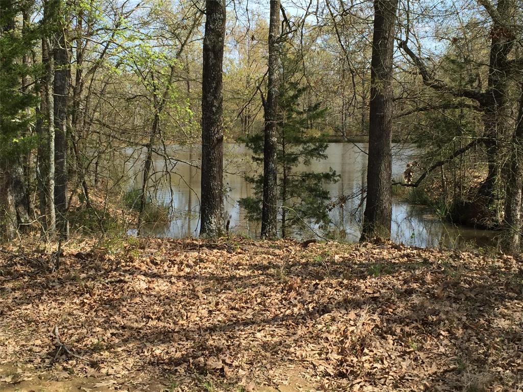 3543 County Road 3543 Saltillo, TX 75478 - Photo 7 of 13 1.5 ACRE SPRING-FED POND