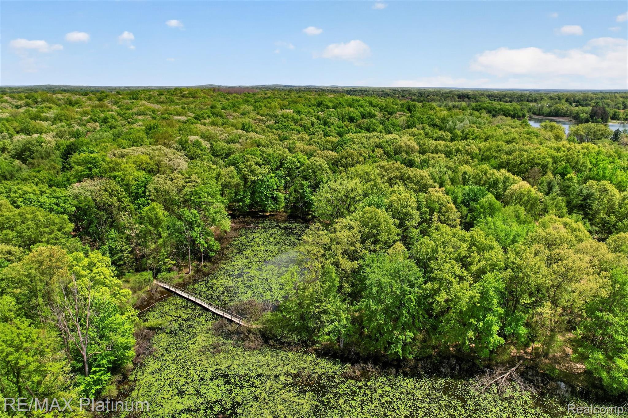 5060 Yax Pointe Drive Howell, MI 48843 - Photo 59 of 61 DJI_0314.jpg