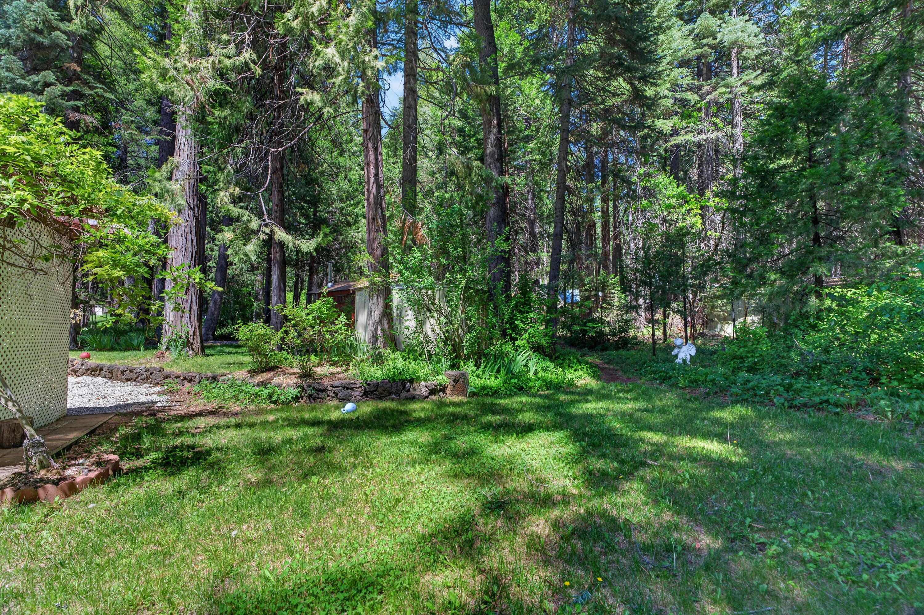 8015 Starlite Pines Road Shingletown, CA 96088 - Photo 32 of 38 a view of backyard with green space