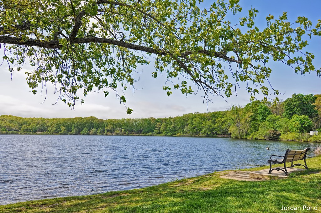 65 Edgewater Avenue Shrewsbury, MA 01545 - Photo 24 of 24 a view of a swimming pool with a yard