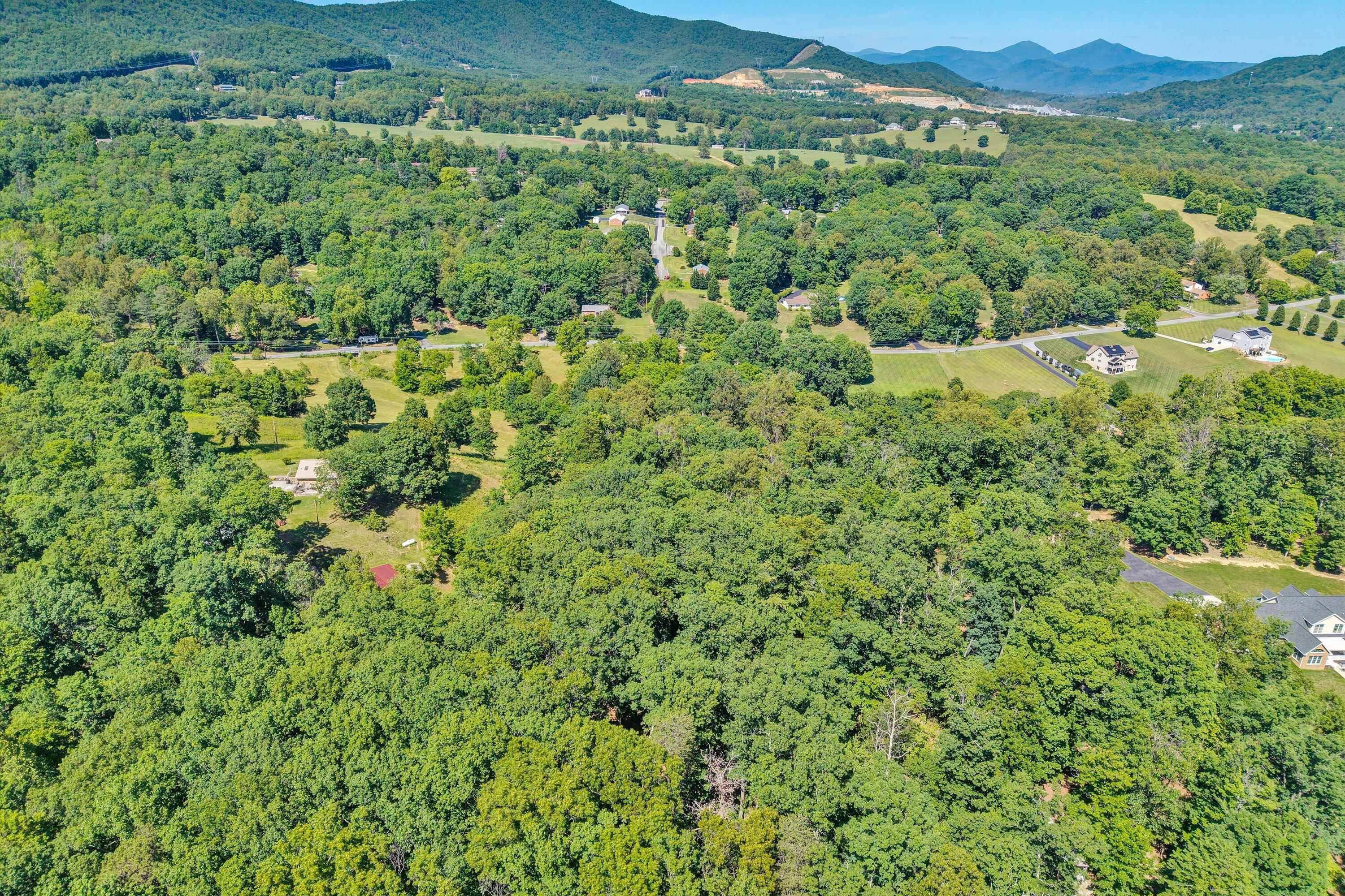 2241 Blue Ridge Springs Road Blue Ridge, VA 24064 - Photo 25 of 28 Aerial view