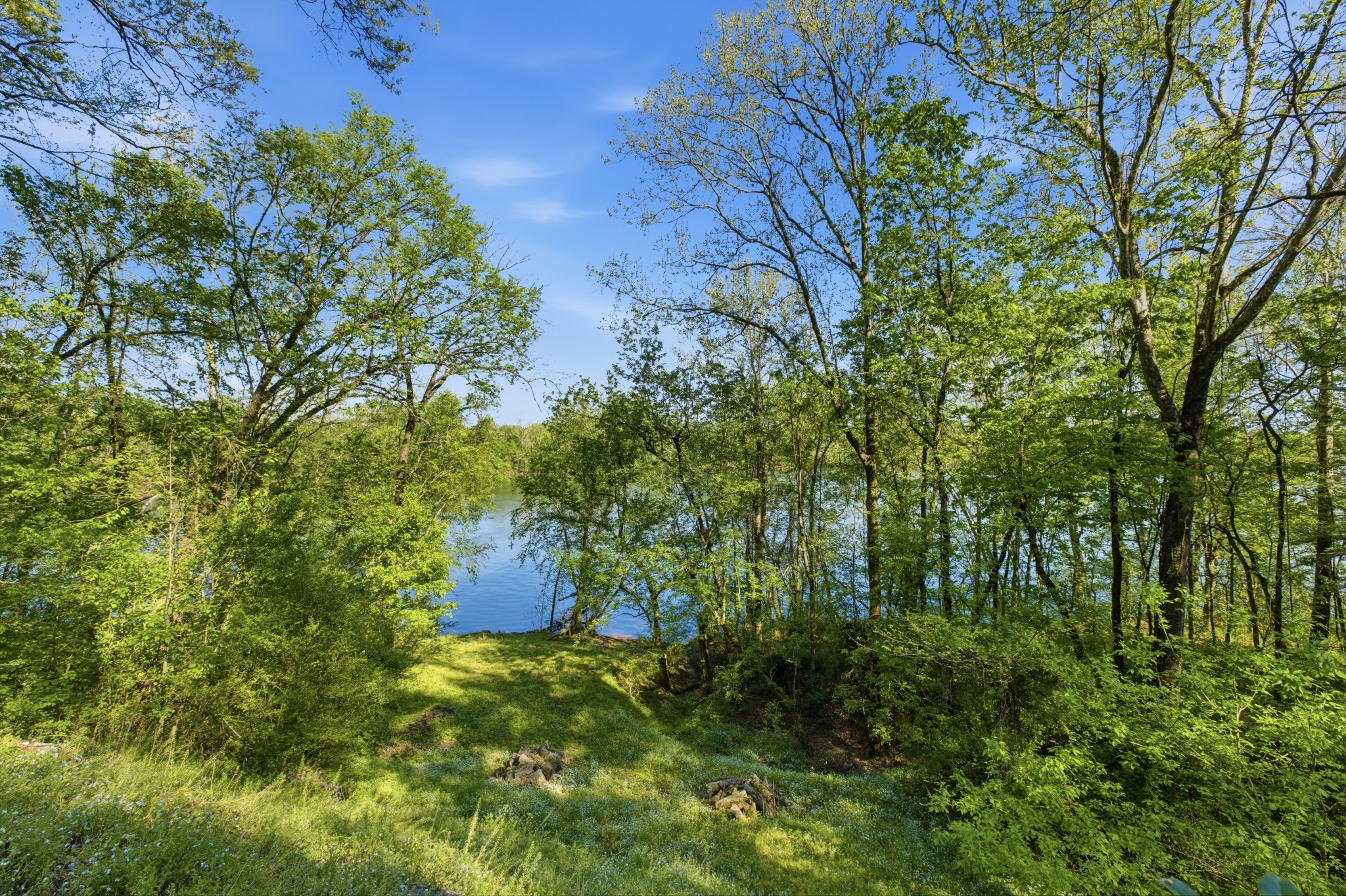 1605 Puryears Bend Road Hartsville, TN 37074 - Photo 51 of 63 a view of a garden with plants and trees