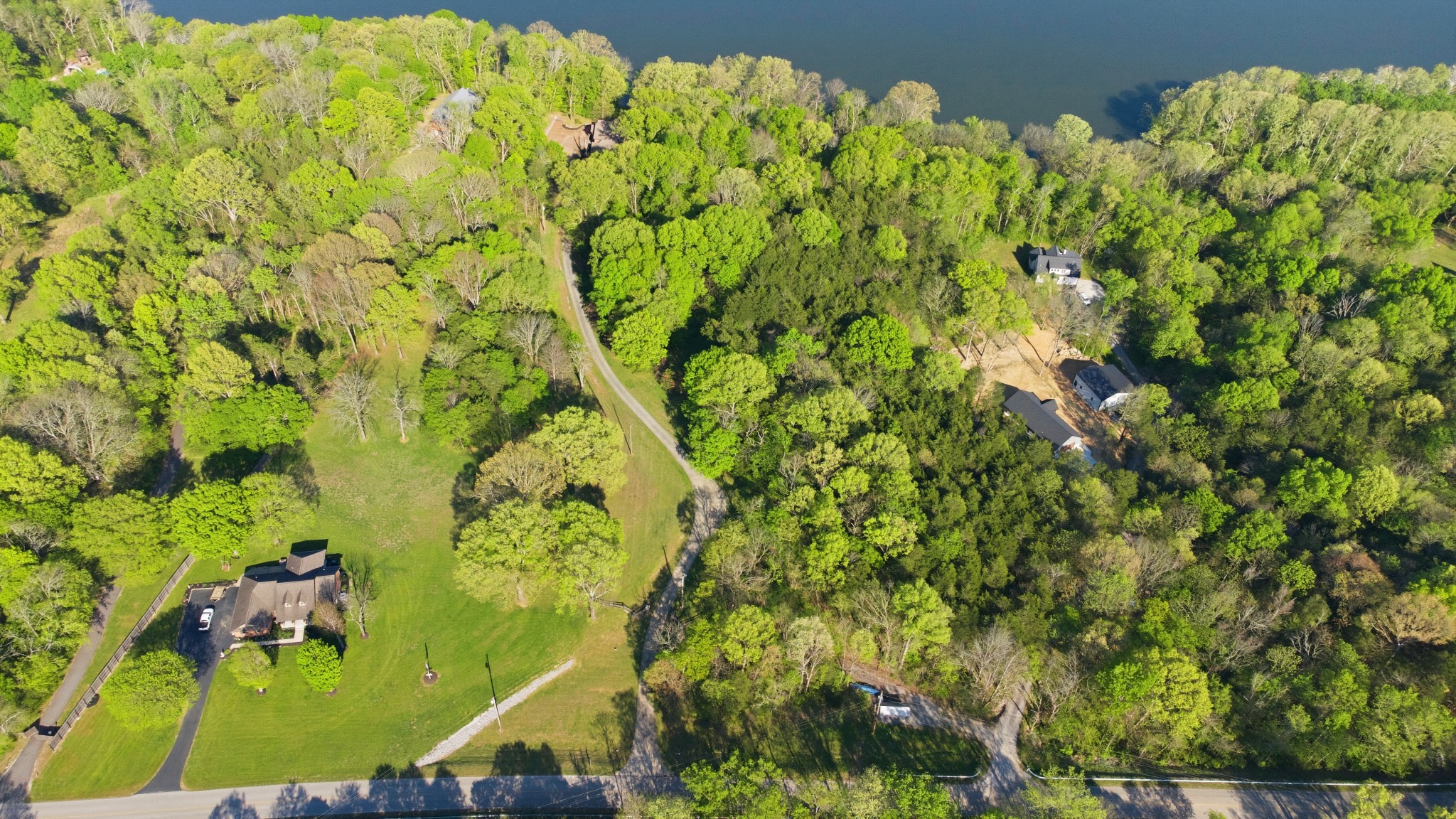 1605 Puryears Bend Road Hartsville, TN 37074 - Photo 61 of 63 a picture of a tree