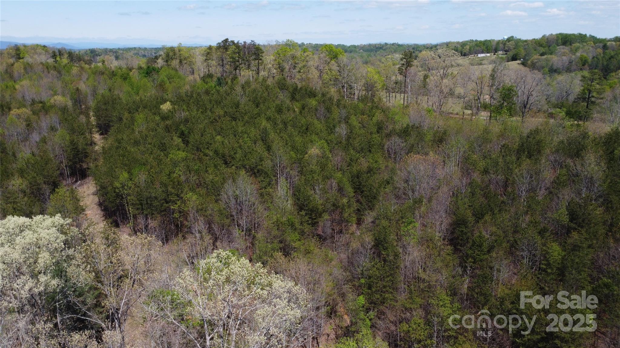 0 Snowhill Church Road Morganton, NC 28655 - Photo 17 of 40