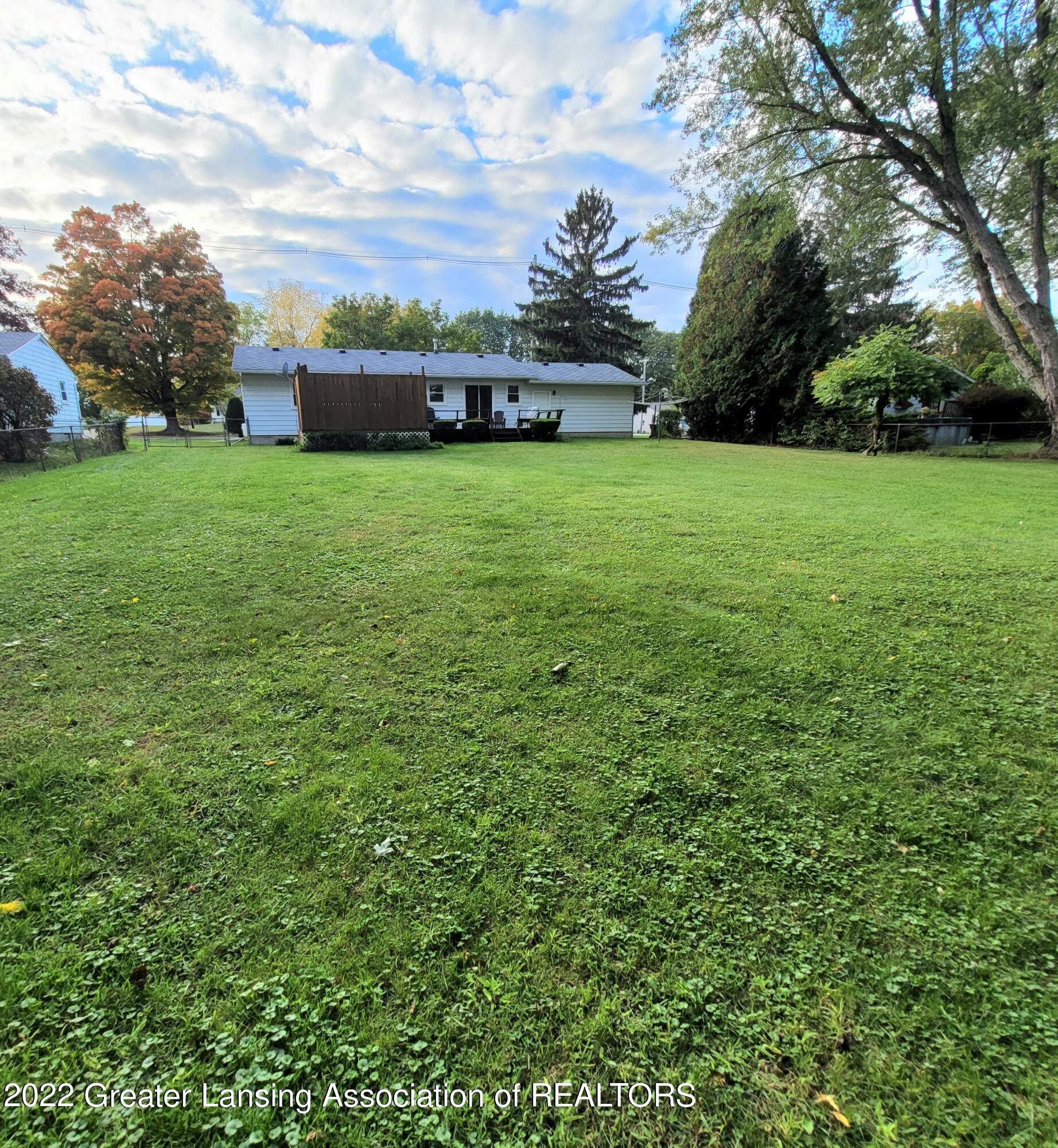 Back yard