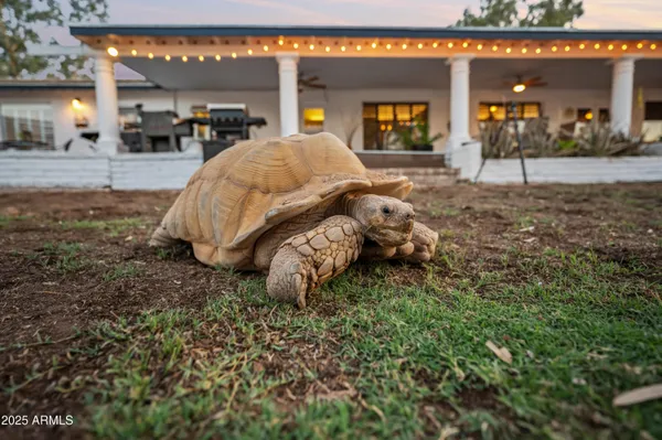 $1,200,000 | 2032 East Euclid Avenue, Phoenix, AZ 85042