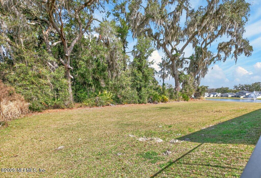 12 Wards Ravine Way St. Johns, FL 32259 - Photo 60 of 73 a view of big yard with an outdoor space