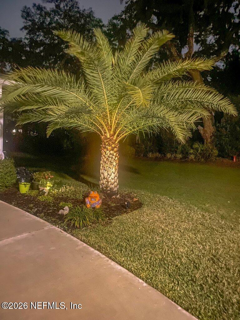 12 Wards Ravine Way St. Johns, FL 32259 - Photo 66 of 73 DATE PALM