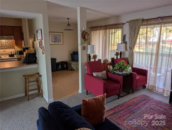 a living room with furniture or couch and a potted plant