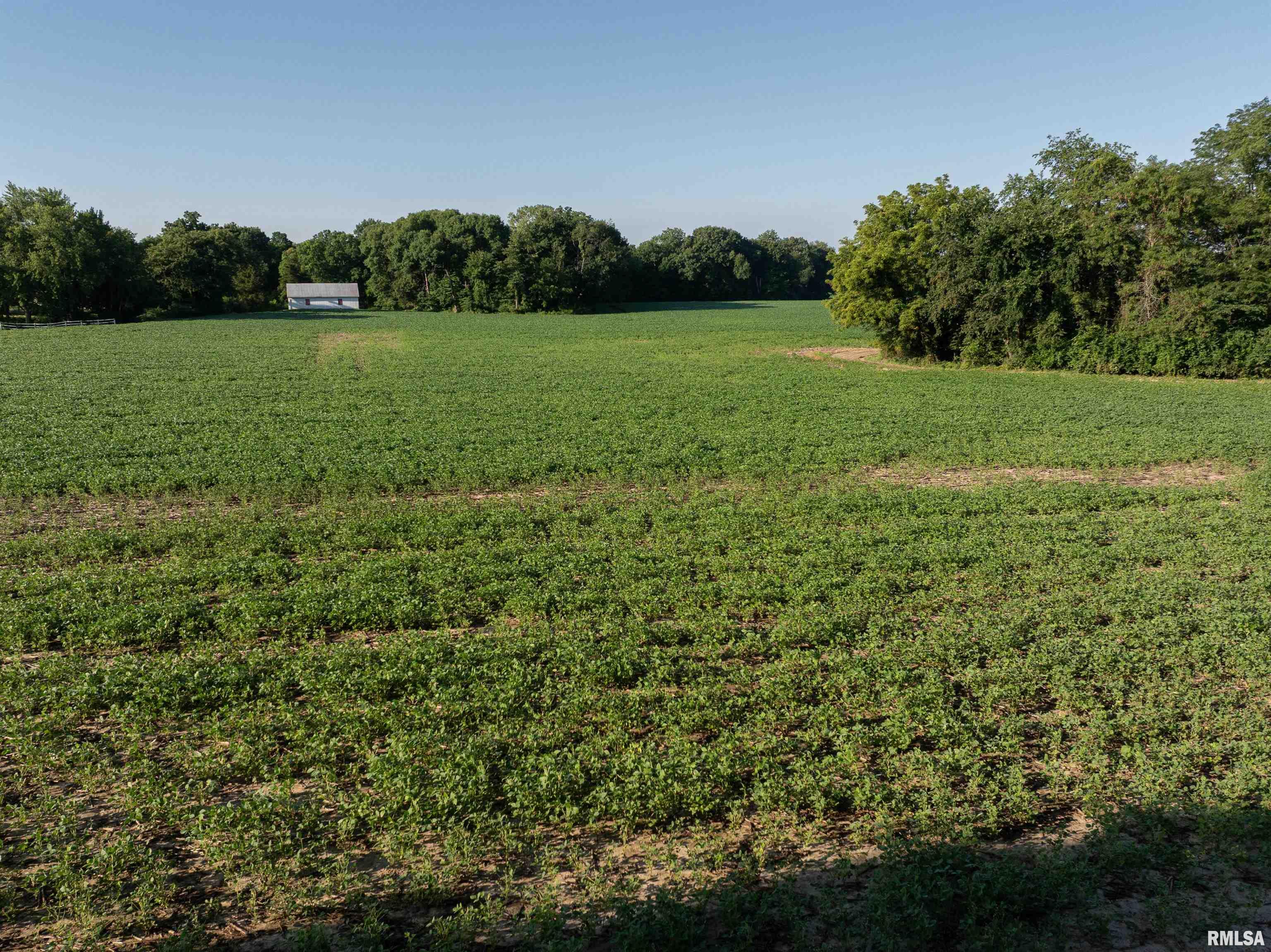 0 West Singing Woods Road Dunlap, IL 61525 - Photo 12 of 13