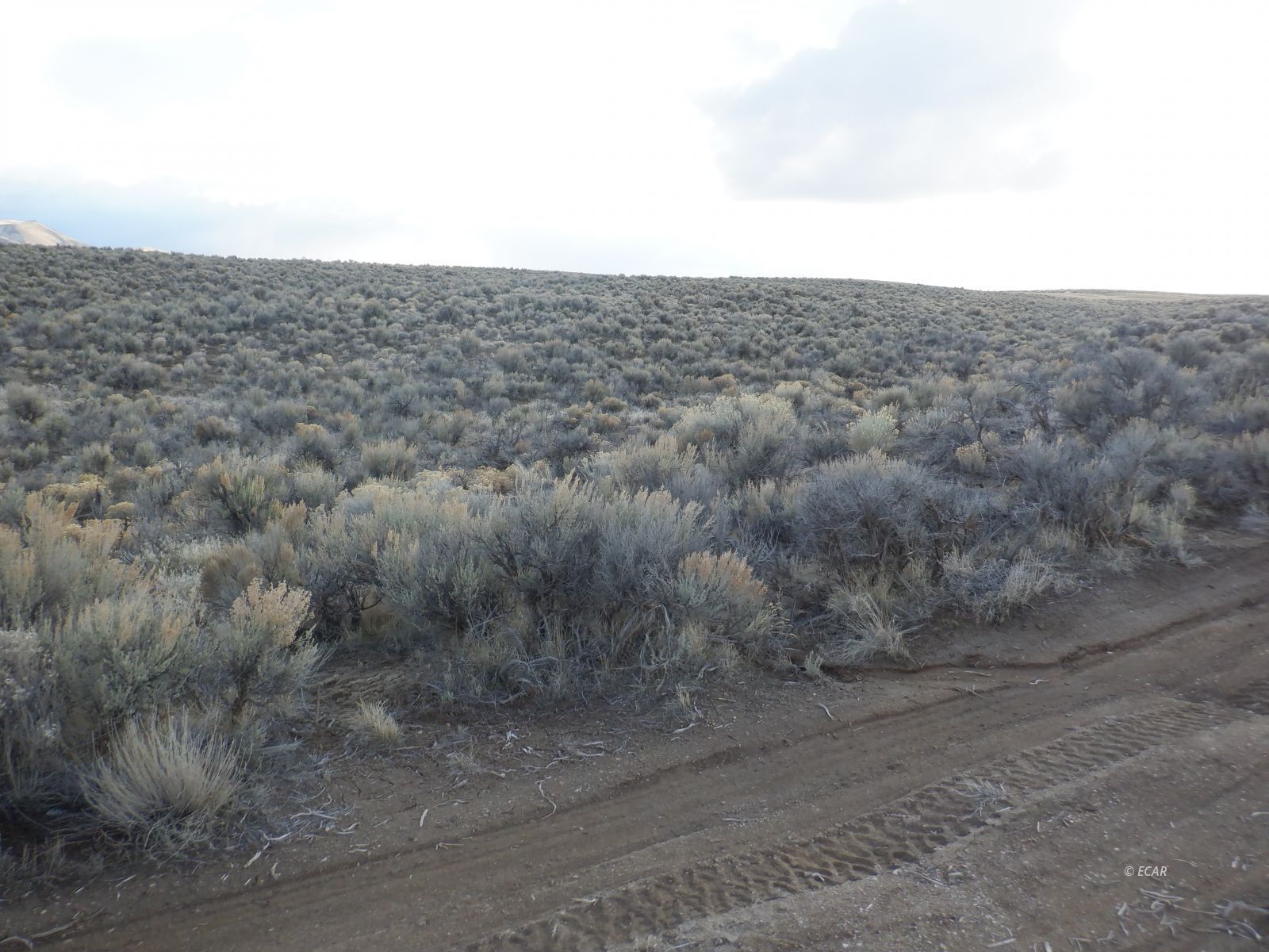 39-3 6th Street, Unit 35/3 Elko, NV 89801 - Photo 3 of 8
