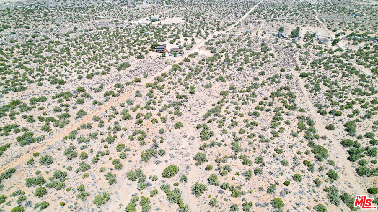 Y8 Llano Ca, Unit STE DRT Llano, CA 93544 - Photo 14 of 15 a bathroom with a shower curtain