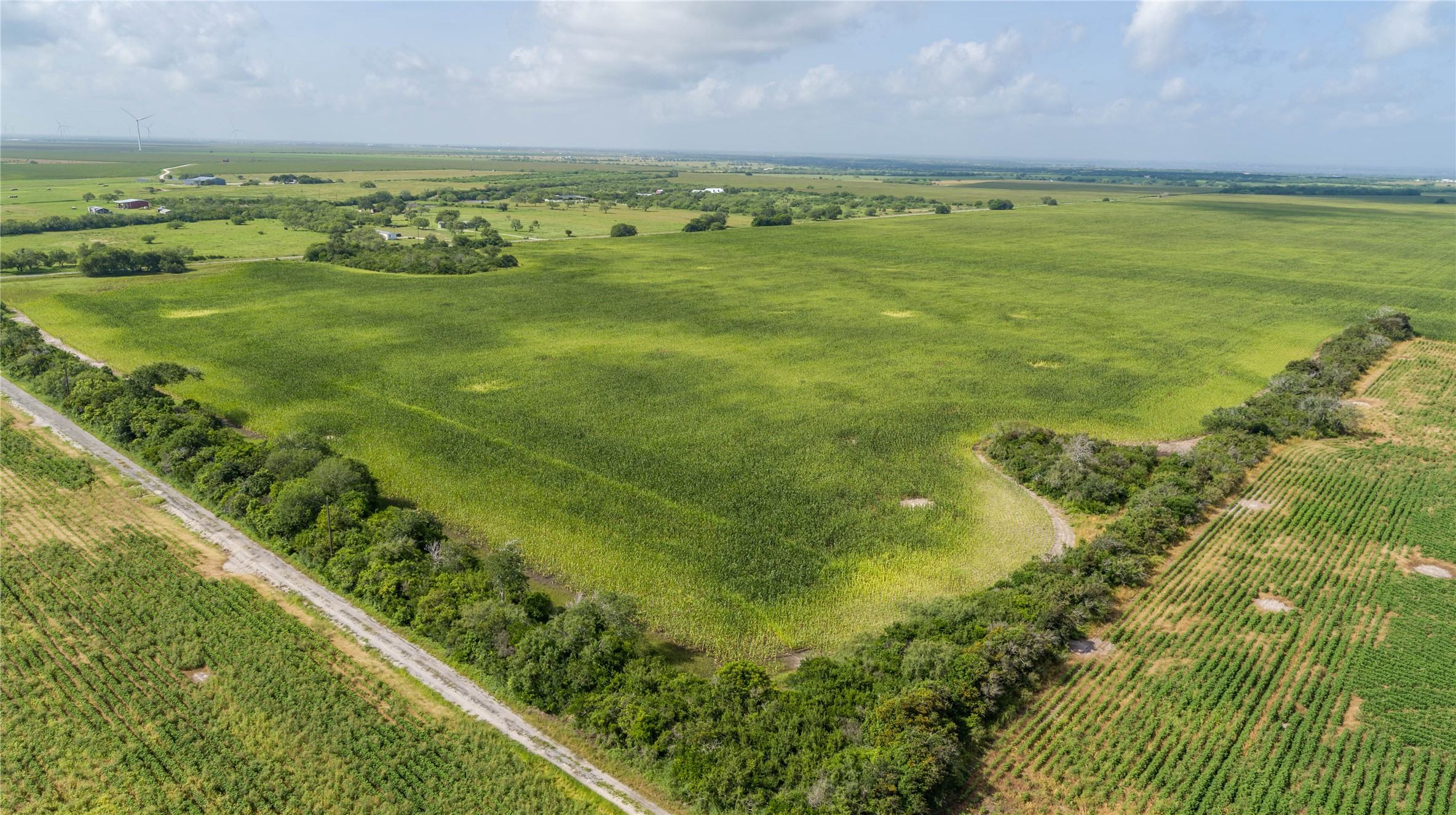 888 St Mathis Tx 78368 Mathis, TX 78368 - Photo 7 of 19