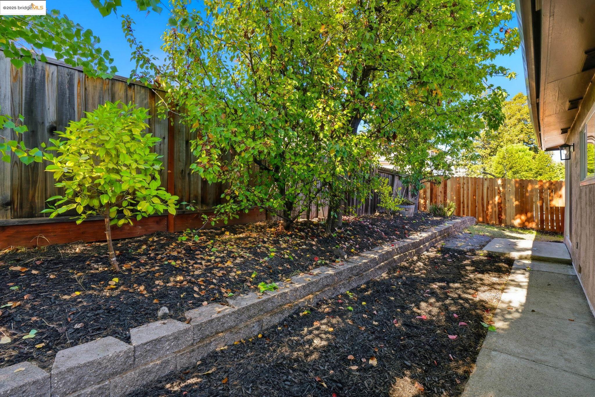 168 High Street Pacheco, CA 94553 - Photo 4 of 33 a view of a backyard with tree