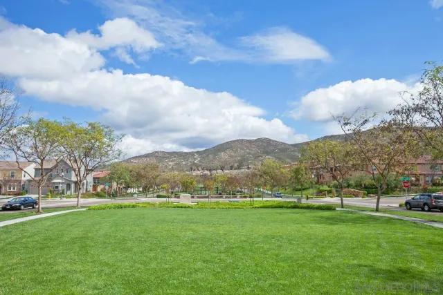 a view of a park with large trees