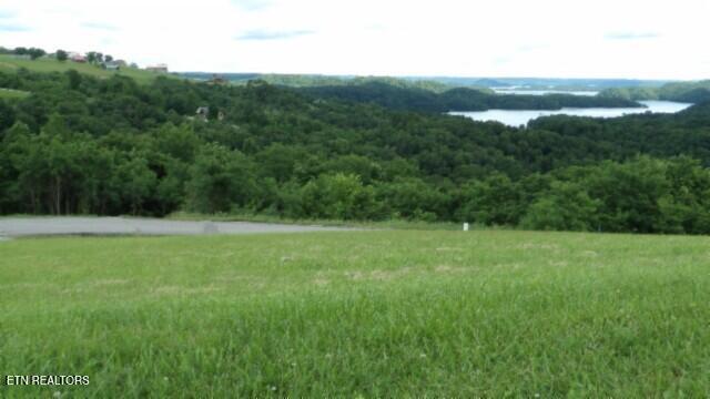 Lot 40 Swan Ridge Road Celina, TN 38551 - Photo 20 of 31 100_0048