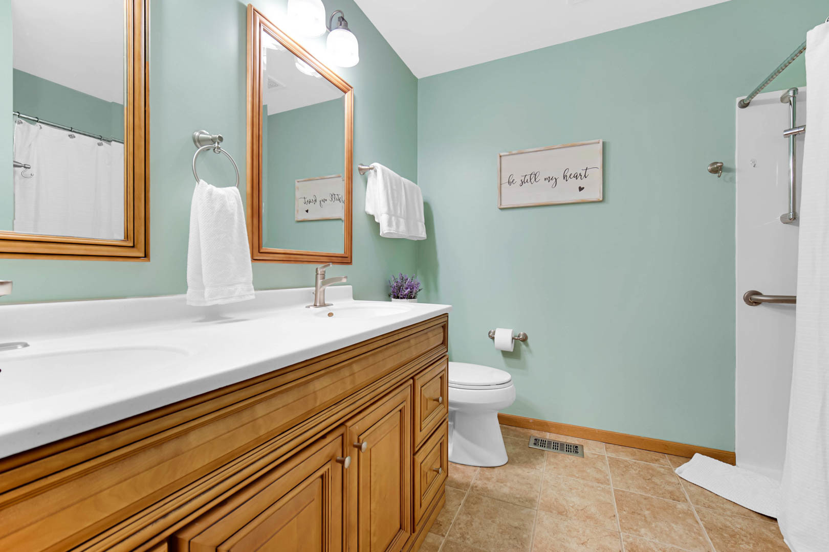 274 Spring Valley Way Round Lake, IL 60073 - Photo 18 of 28 a bathroom with a double vanity sink toilet and a mirror