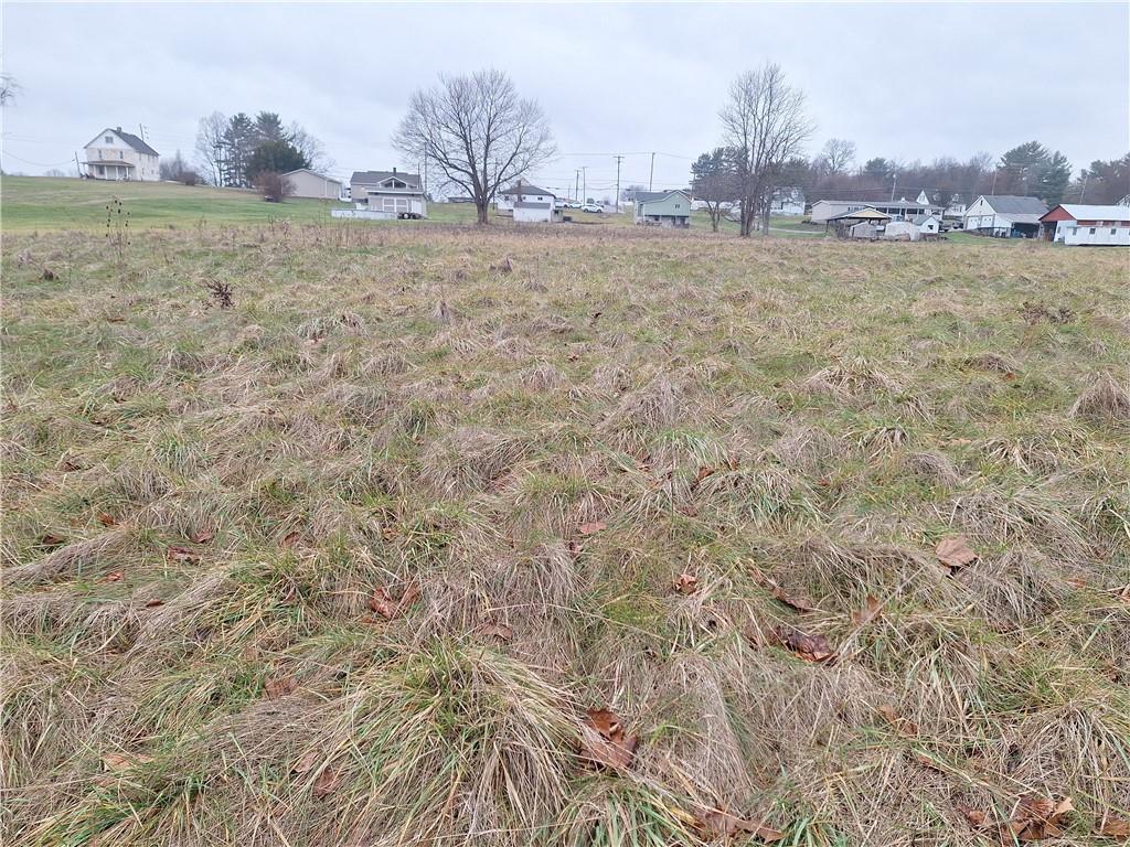 316-318 Bute Road Uniontown, PA 15401 - Photo 4 of 6 a view of a dry yard with trees