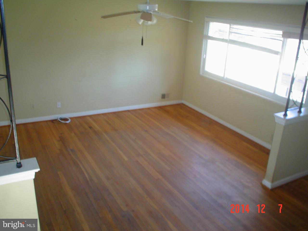 Interior (General)