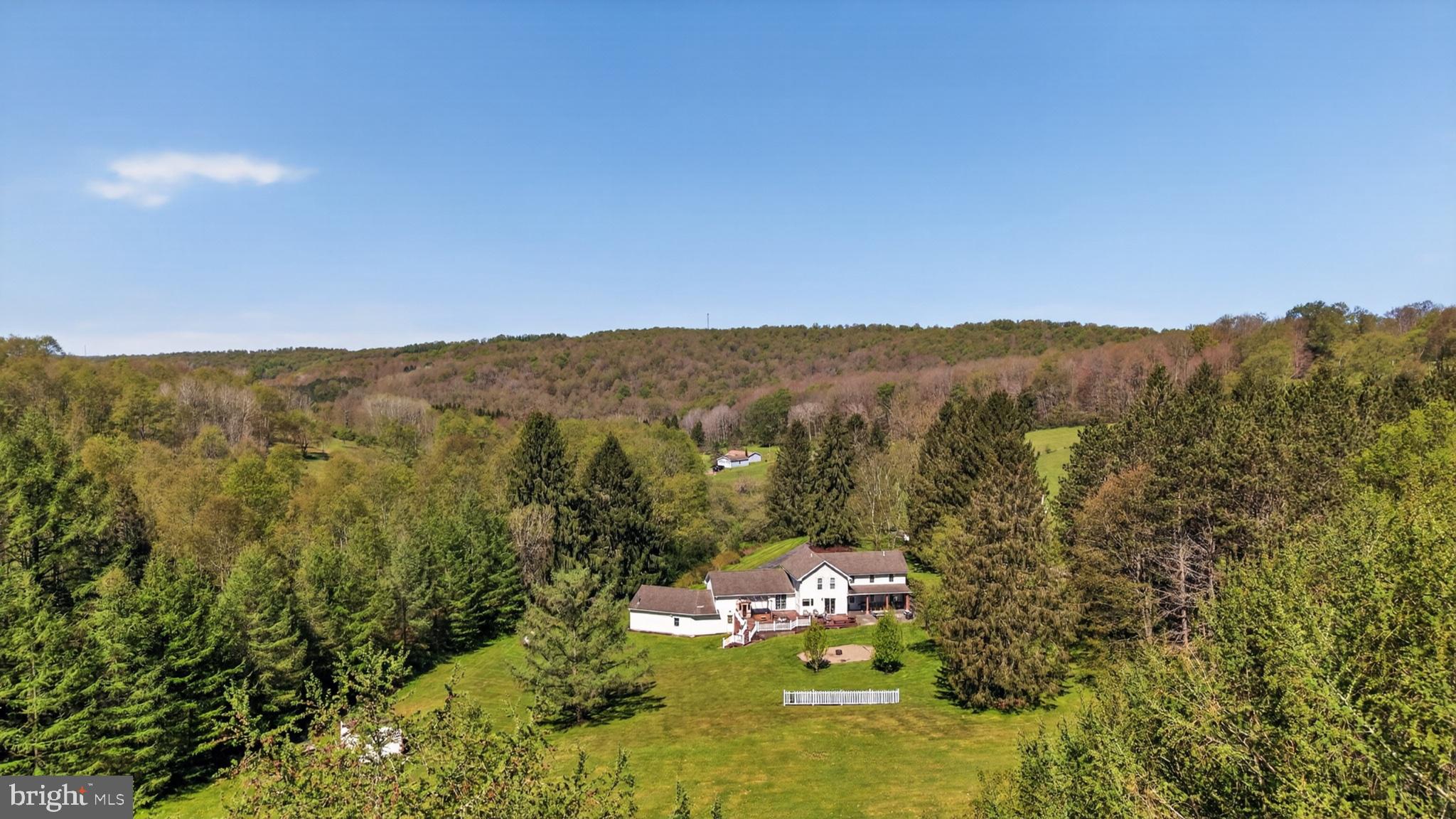 259 A A-Frame Road Coudersport, PA 16915 - Photo 119 of 130 Serene countryside retreat awaits you.