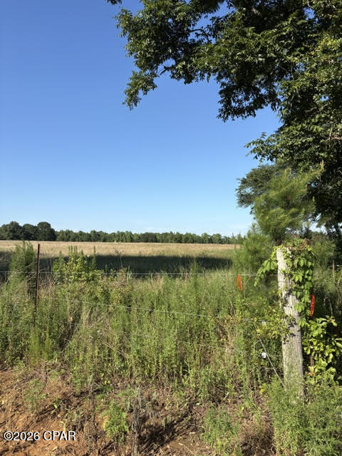 0 Galloway Road Graceville, FL 32440 - Photo 11 of 12