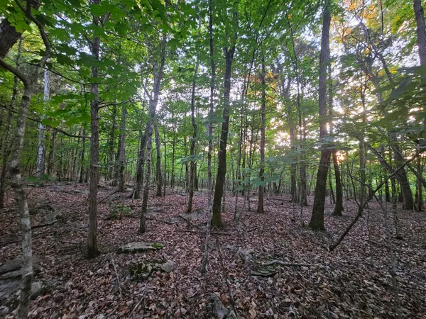 $59,000 | 3 Sewanee Summit Road, Unit 2 AND 3, Decherd, TN 37324
