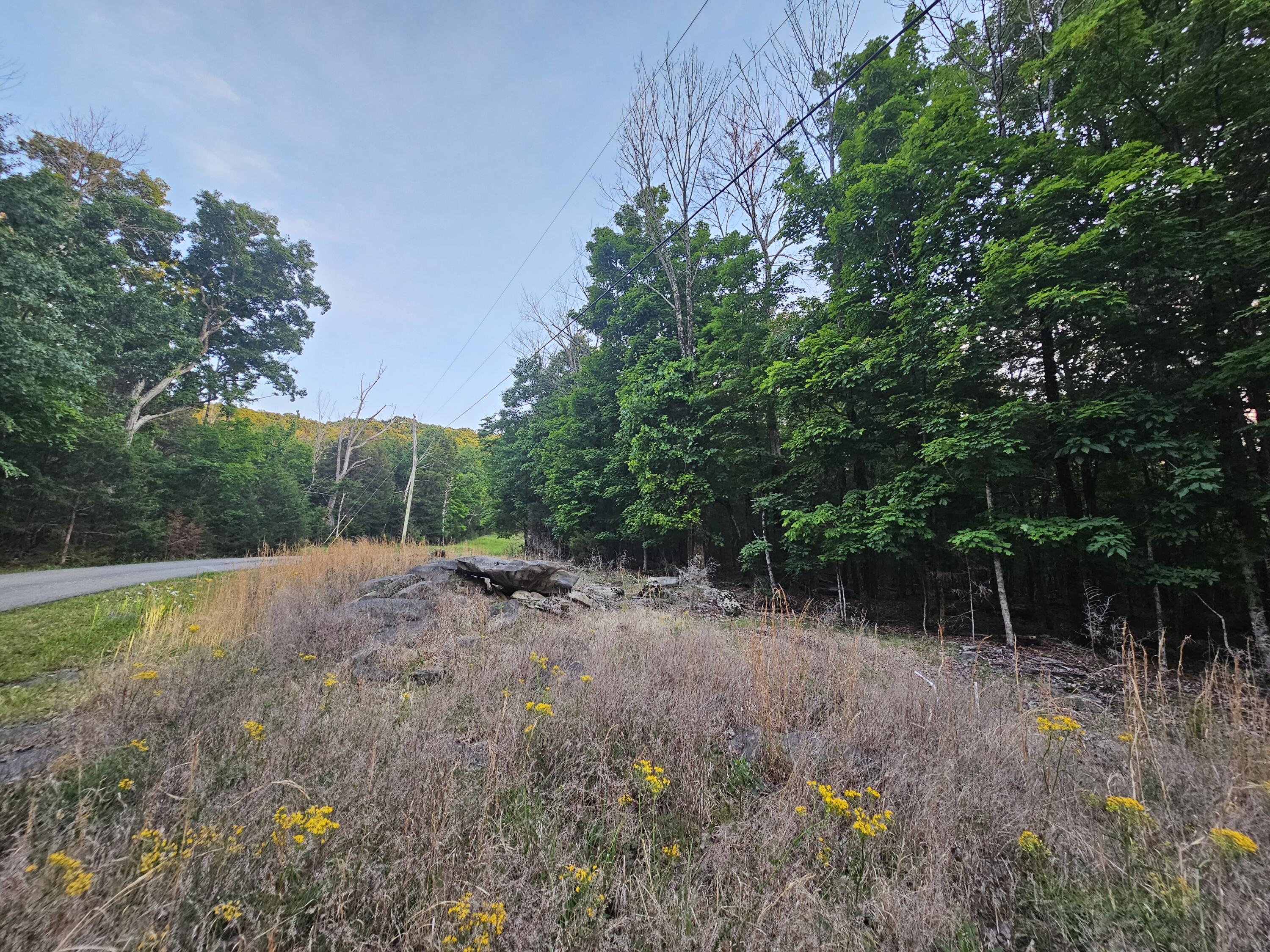 3 Sewanee Summit Road, Unit 2 AND 3 Decherd, TN 37324 - Photo 2 of 13 1000023506