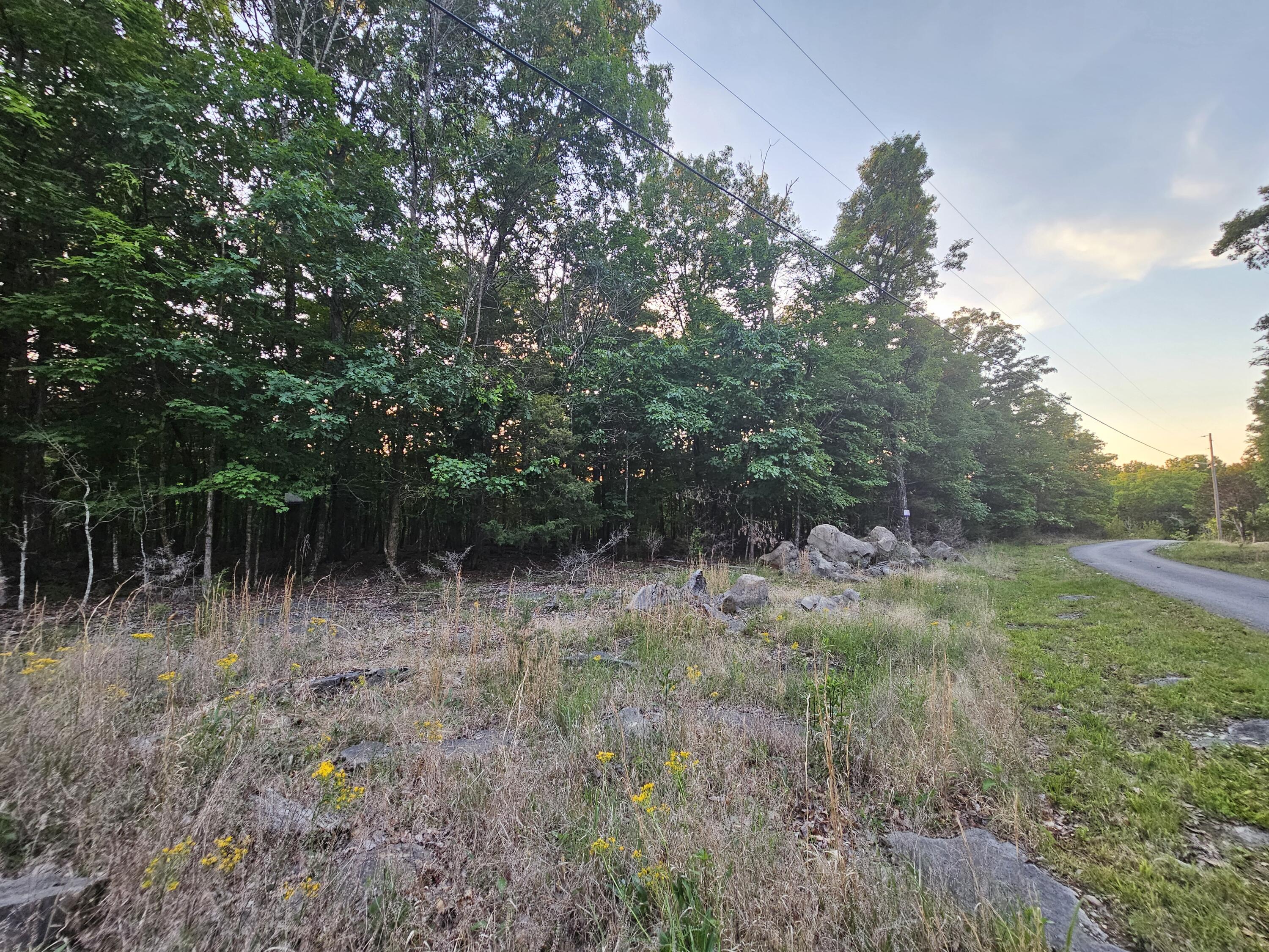 3 Sewanee Summit Road, Unit 2 AND 3 Decherd, TN 37324 - Photo 3 of 13 1000023507