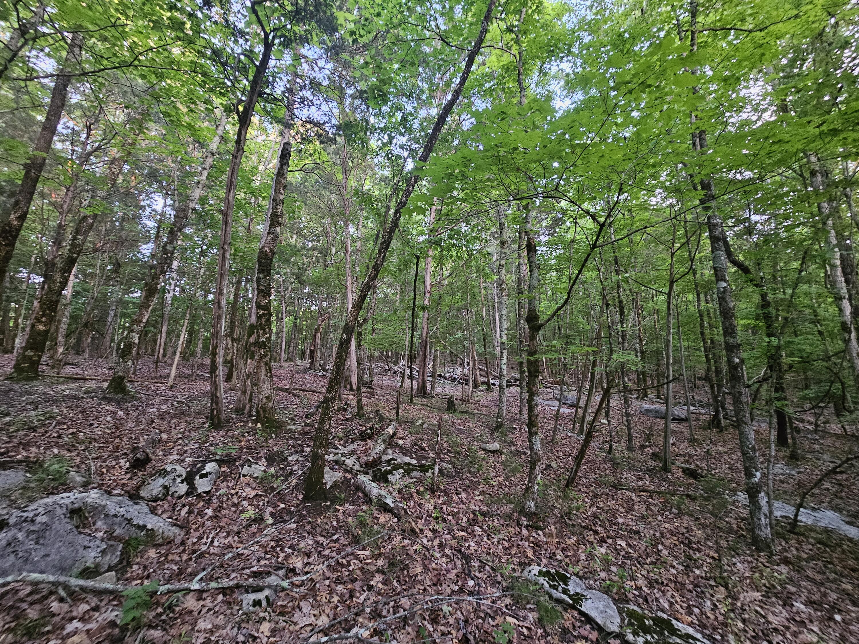 3 Sewanee Summit Road, Unit 2 AND 3 Decherd, TN 37324 - Photo 8 of 13 1000023513