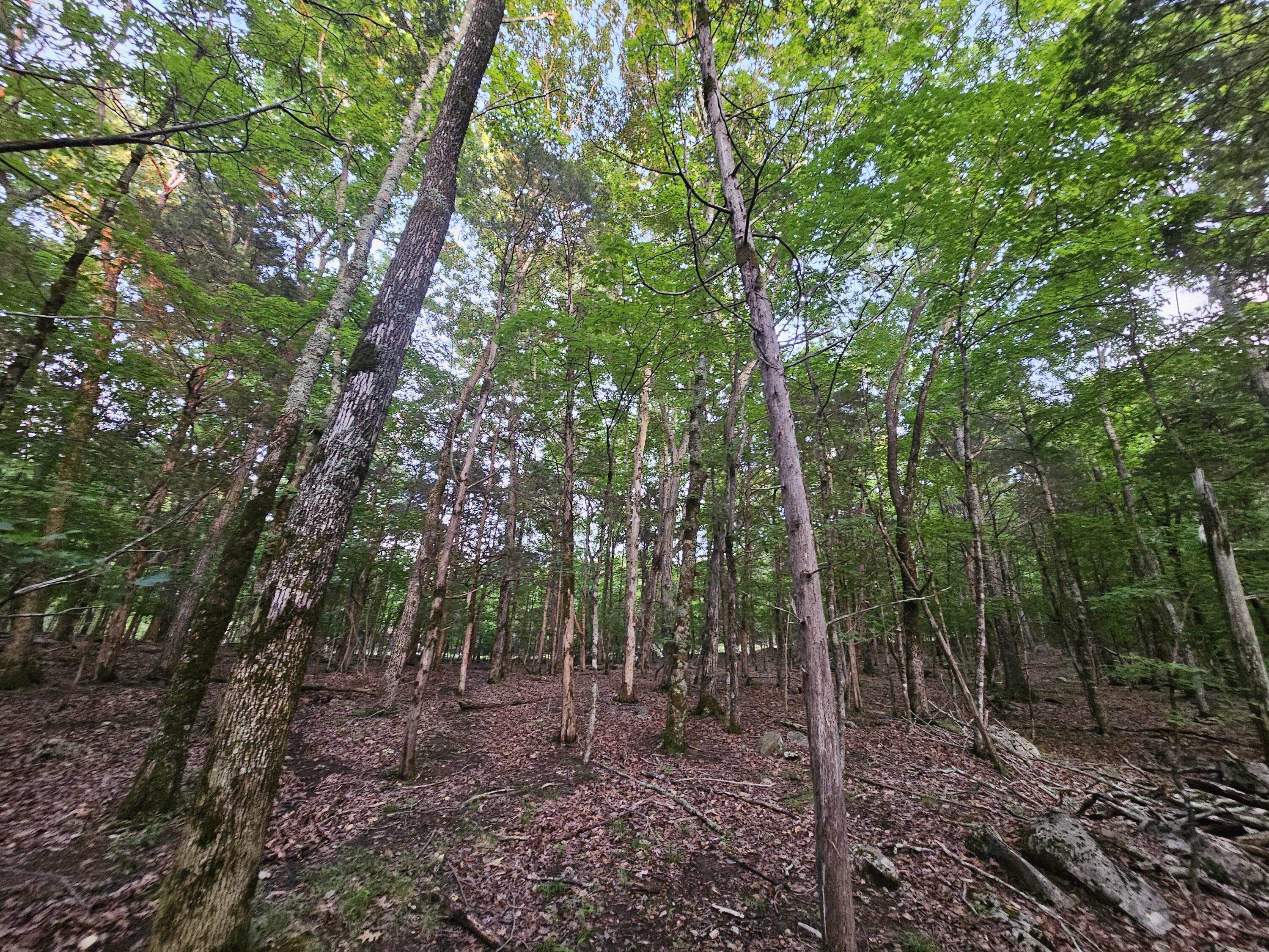 3 Sewanee Summit Road, Unit 2 AND 3 Decherd, TN 37324 - Photo 9 of 13 1000023514
