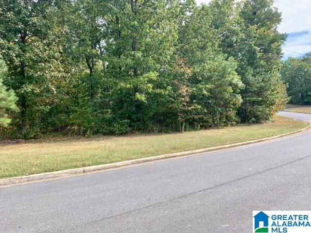 0 Hickory Ridge Road, Unit 40 Ragland, AL 35131 - Photo 3 of 7
