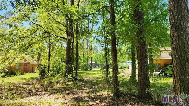 $23,000 | 31531 River Pines Drive, Springfield, LA 70462