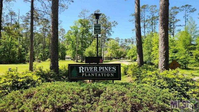$23,000 | 31531 River Pines Drive, Springfield, LA 70462