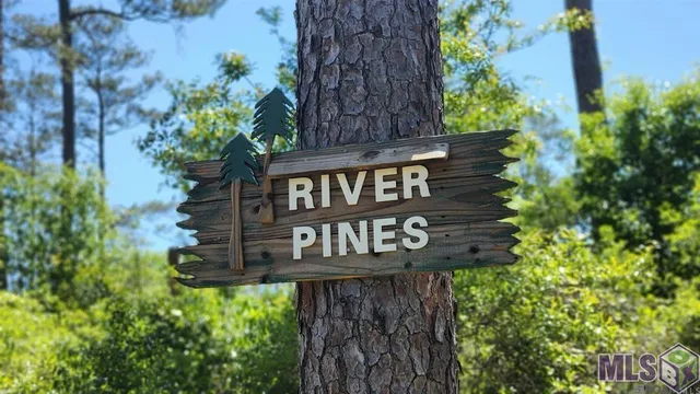 $23,000 | 31531 River Pines Drive, Springfield, LA 70462