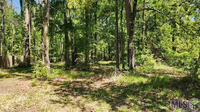 $23,000 | 31531 River Pines Drive, Springfield, LA 70462