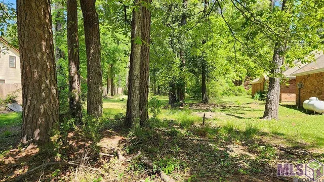 $23,000 | 31531 River Pines Drive, Springfield, LA 70462