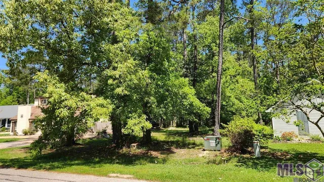 $23,000 | 31531 River Pines Drive, Springfield, LA 70462