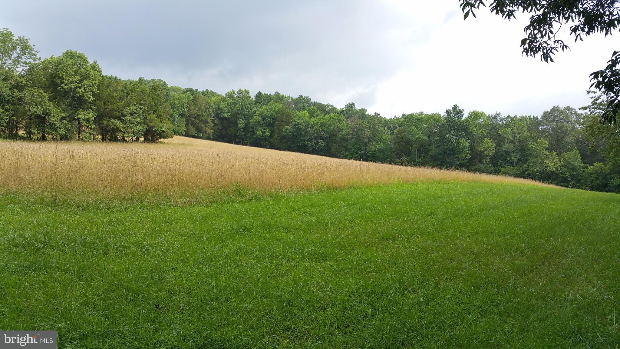 1180 Alpine Road Wellsville, PA 17365 - Photo 20 of 79 Gallery Image 20