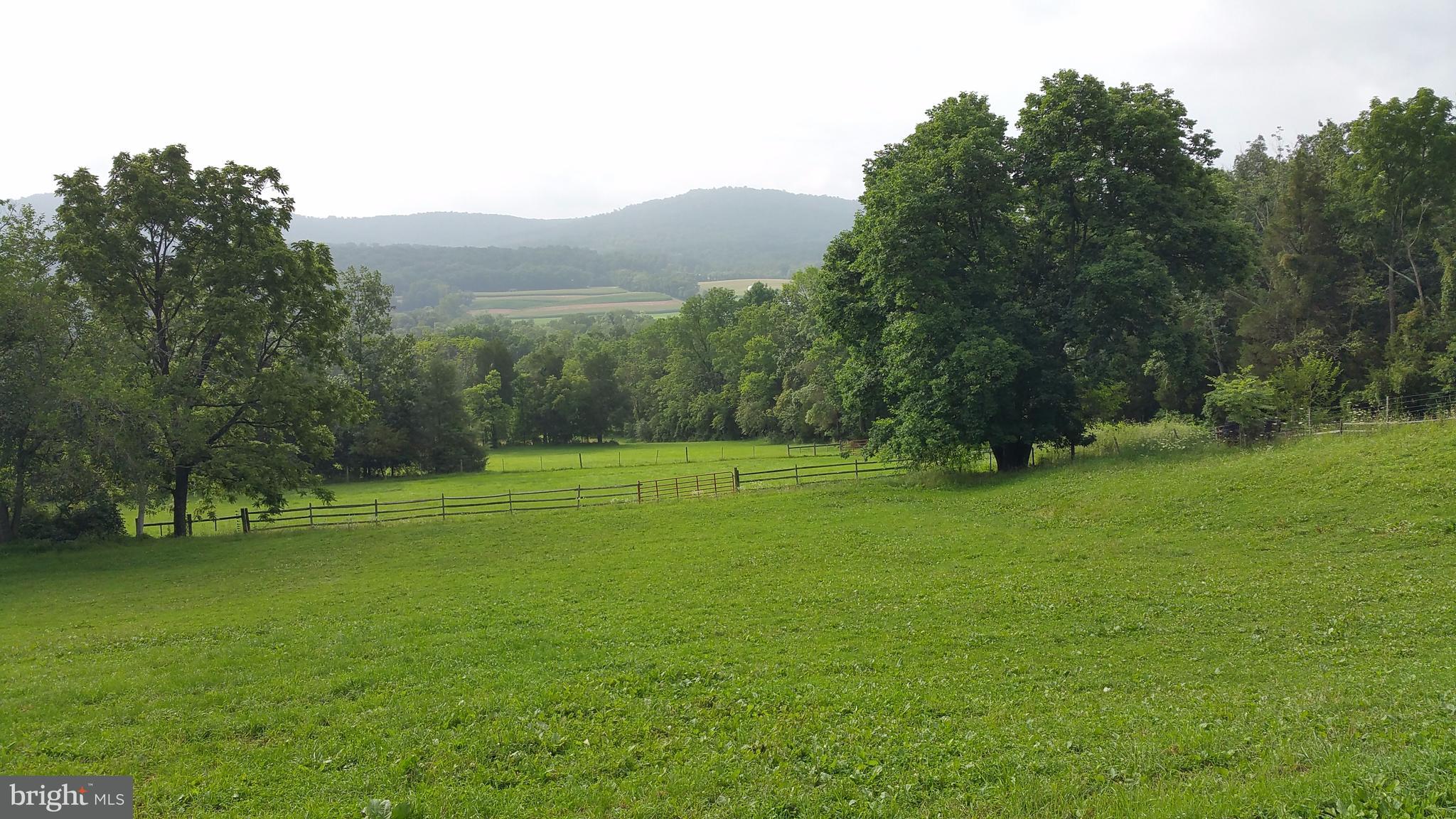 1180 Alpine Road Wellsville, PA 17365 - Photo 36 of 79 Gallery Image 36