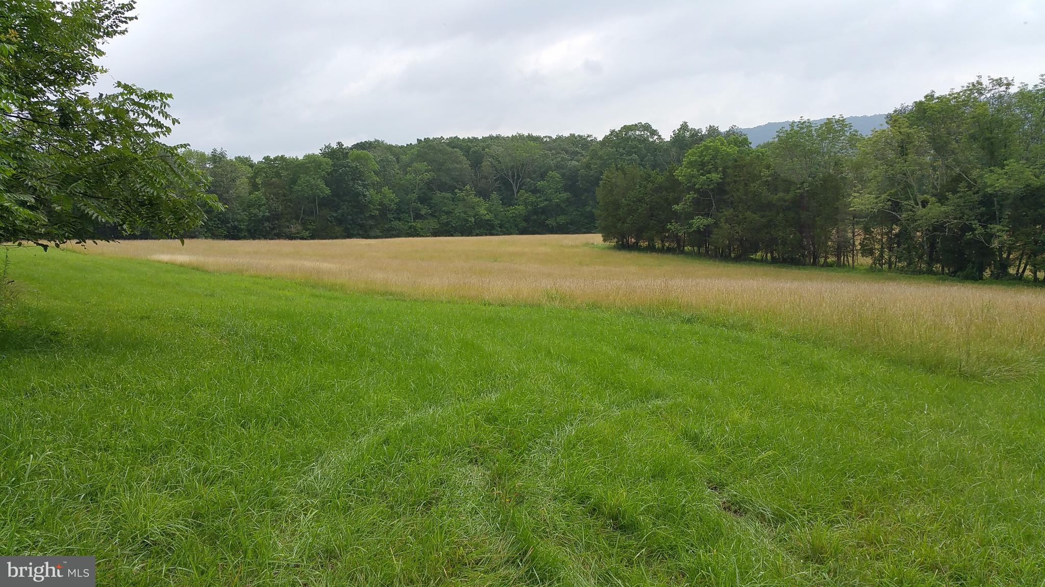 1180 Alpine Road Wellsville, PA 17365 - Photo 58 of 79 Gallery Image 58