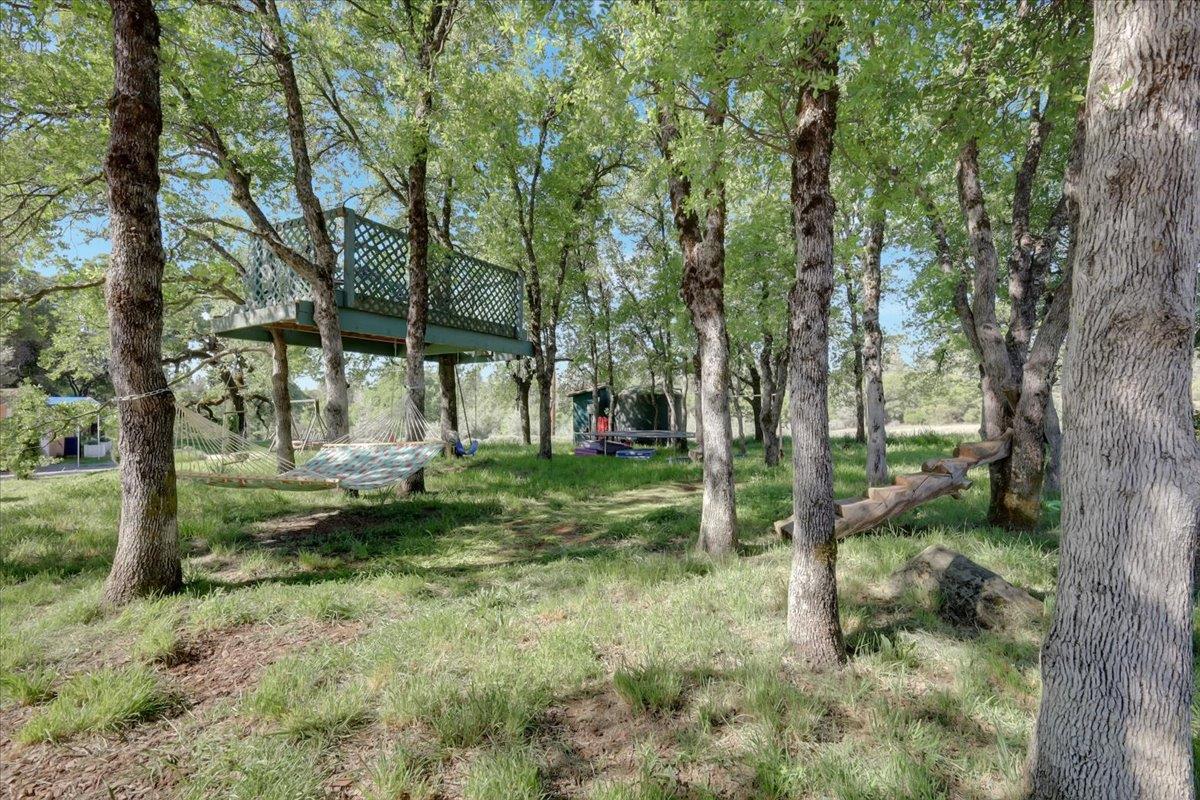 9735 Stackhouse Lane Oregon House, CA 95962 - Photo 77 of 99