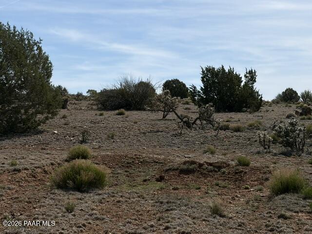363- Via Dolorosa Road Seligman, AZ 86337 - Photo 10 of 10 IMG_1085