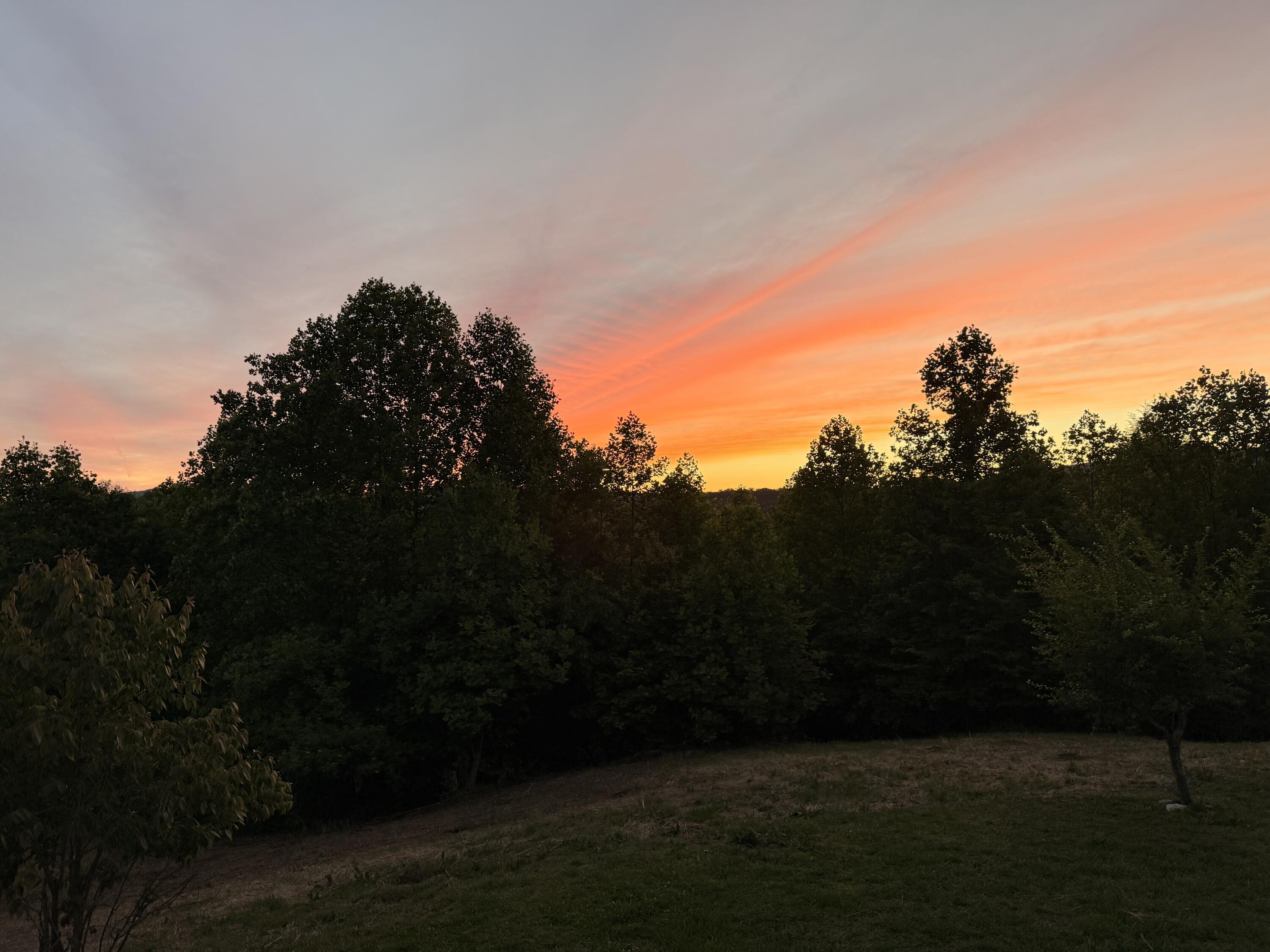 161 Willie Shell Road Reliance, TN 37369 - Photo 3 of 70 willie sunset
