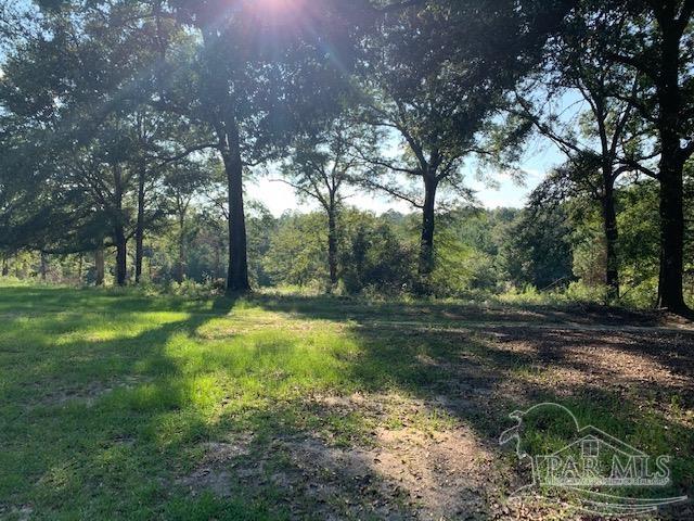 501 Elsie Davis Road Century, FL 32535 - Photo 18 of 44 Gallery Image 18