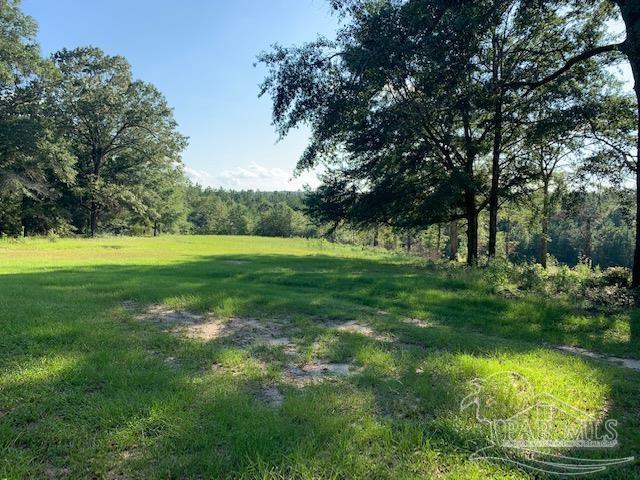 501 Elsie Davis Road Century, FL 32535 - Photo 19 of 44 Gallery Image 19