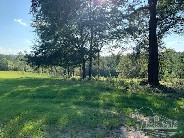 501 Elsie Davis Road Century, FL 32535 - Photo 20 of 44 Gallery Image 20
