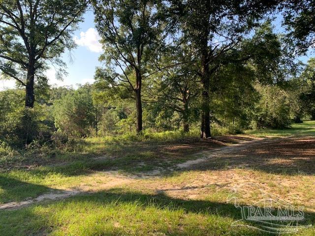 501 Elsie Davis Road Century, FL 32535 - Photo 21 of 44 Gallery Image 21